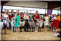 LCFAIR14-5474.jpg