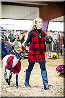 LCFAIR14-5482.jpg