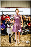 LCFAIR14-5496.jpg