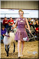 LCFAIR14-5497.jpg