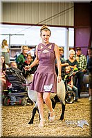 LCFAIR14-5501.jpg