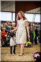 LCFAIR14-5504.jpg