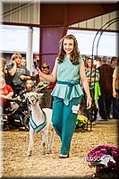 LCFAIR14-5515.jpg
