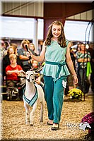 LCFAIR14-5516.jpg