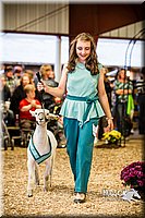 LCFAIR14-5517.jpg