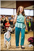 LCFAIR14-5518.jpg