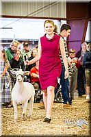 LCFAIR14-5524.jpg