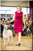 LCFAIR14-5525.jpg