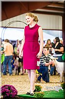 LCFAIR14-5529.jpg