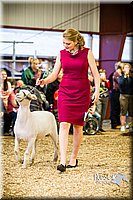 LCFAIR14-5531.jpg