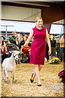 LCFAIR14-5532.jpg
