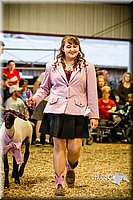 LCFAIR14-5537.jpg