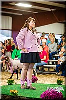 LCFAIR14-5540.jpg