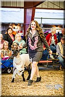 LCFAIR14-5546.jpg