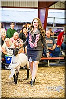 LCFAIR14-5547.jpg