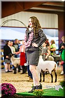LCFAIR14-5555.jpg