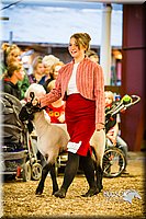 LCFAIR14-5563.jpg