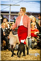 LCFAIR14-5564.jpg