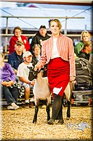 LCFAIR14-5565.jpg