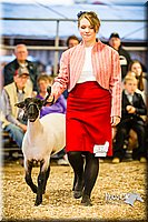 LCFAIR14-5566.jpg