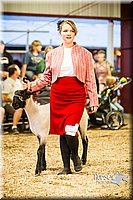 LCFAIR14-5575.jpg