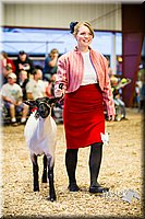 LCFAIR14-5577.jpg