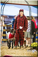LCFAIR14-5582.jpg