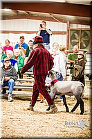 LCFAIR14-5589.jpg
