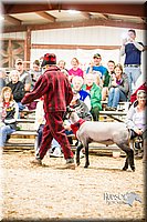 LCFAIR14-5590.jpg