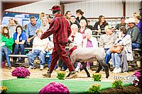 LCFAIR14-5591.jpg