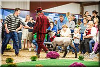LCFAIR14-5592.jpg