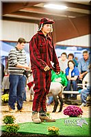 LCFAIR14-5593.jpg