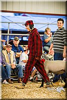 LCFAIR14-5600.jpg