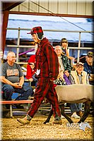 LCFAIR14-5601.jpg