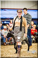 LCFAIR14-5610.jpg
