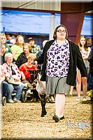 LCFAIR14-5611.jpg