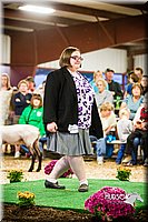 LCFAIR14-5615.jpg