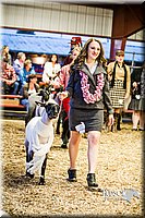 LCFAIR14-5619.jpg