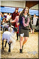 LCFAIR14-5620.jpg