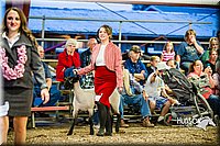 LCFAIR14-5629.jpg