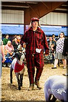 LCFAIR14-5633.jpg