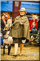 LCFAIR14-5650.jpg