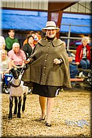 LCFAIR14-5651.jpg