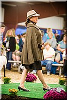 LCFAIR14-5656.jpg