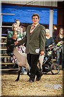 LCFAIR14-5662.jpg