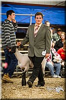 LCFAIR14-5663.jpg