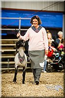 LCFAIR14-5672.jpg