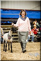LCFAIR14-5674.jpg