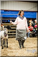 LCFAIR14-5675.jpg
