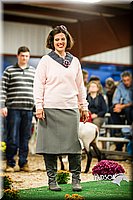 LCFAIR14-5679.jpg